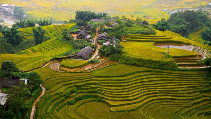Hotspot Matrix: Đòn Bẩy Thành Công Cho Startup Của Bạn
