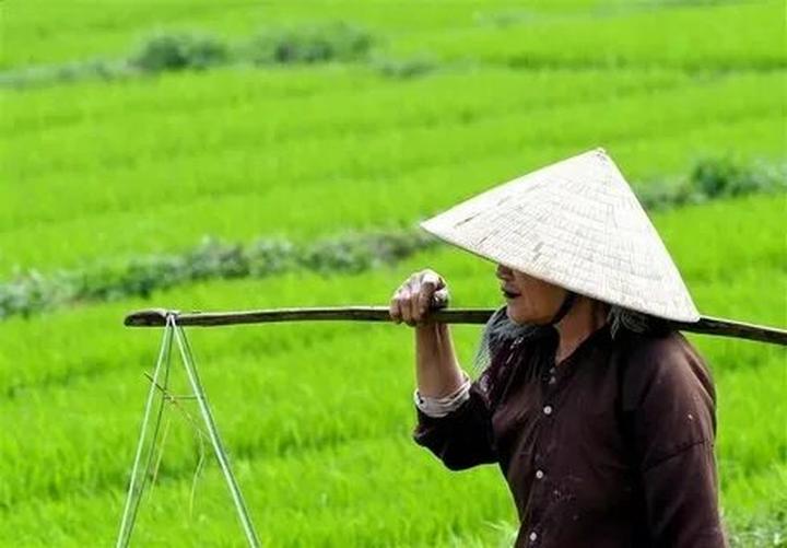Lan tỏa Yêu Thương, Gắn Kết Cộng Đồng Qua Video Hotspot Matrix